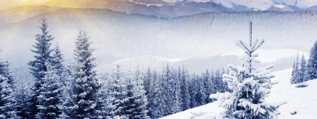 2025 évvége & 2026-os évkezdés